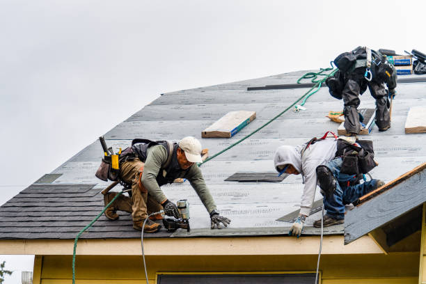 Professional Roof Replacement technician working in Downs, IL